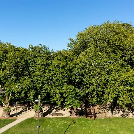Daire Tripas-coracao, Cordoaria River View, Garden View Or Loft